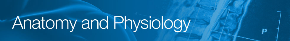 anatomy-and-physiology-banner