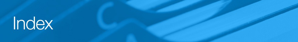 index-banner index-banner